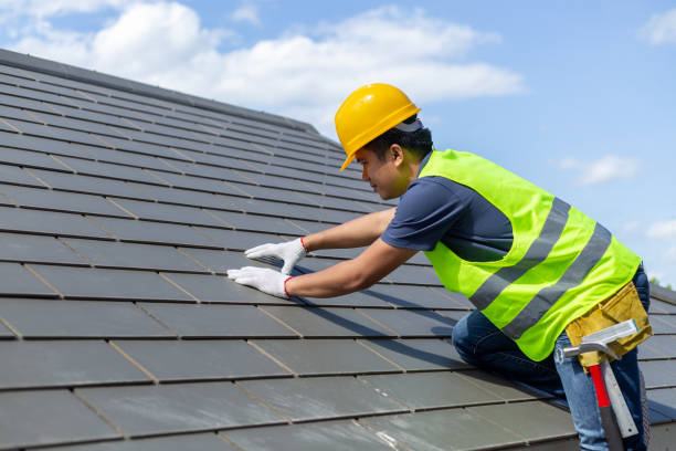 Best Roof Gutter Cleaning  in White Knoll, SC