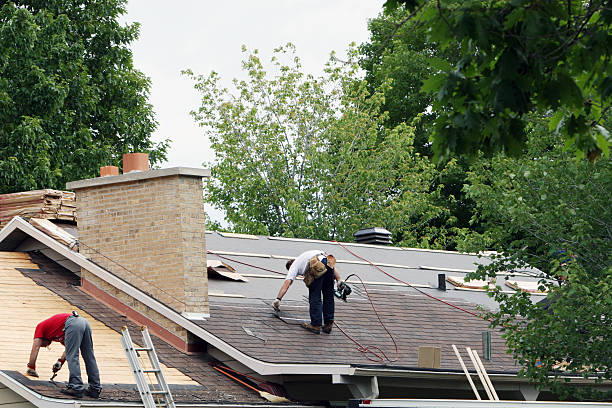 Trusted White Knoll, SC Roofing Contractor Experts