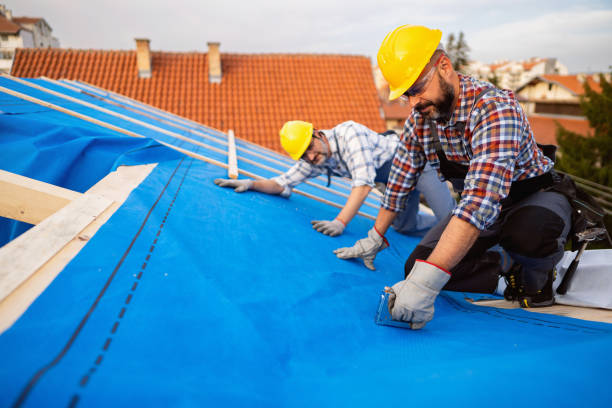 Best Flat Roof Repair Services  in White Knoll, SC