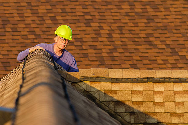 Best Roofing Contractor Near Me  in White Knoll, SC