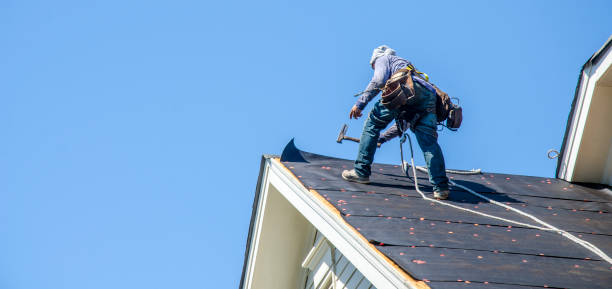 Best Roof Restoration Services  in White Knoll, SC